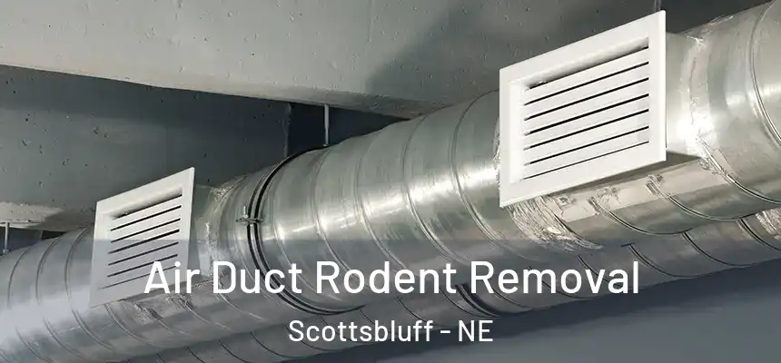 Air Duct Rodent Removal Scottsbluff - NE