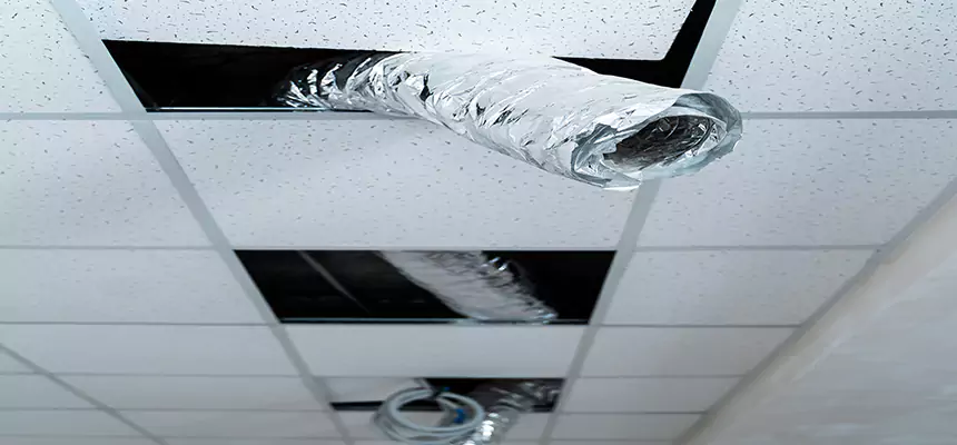 Our Air Duct Pet Hair Removal Services in Scottsbluff, NE