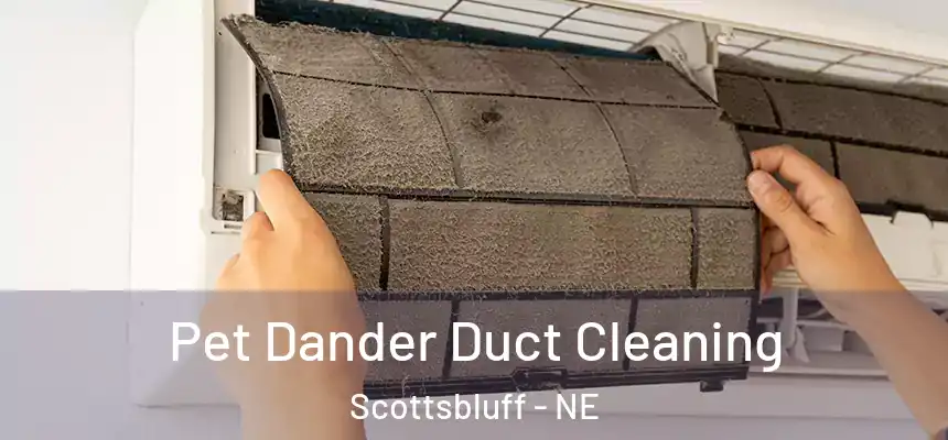 Pet Dander Duct Cleaning Scottsbluff - NE