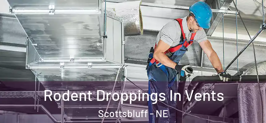 Rodent Droppings In Vents Scottsbluff - NE