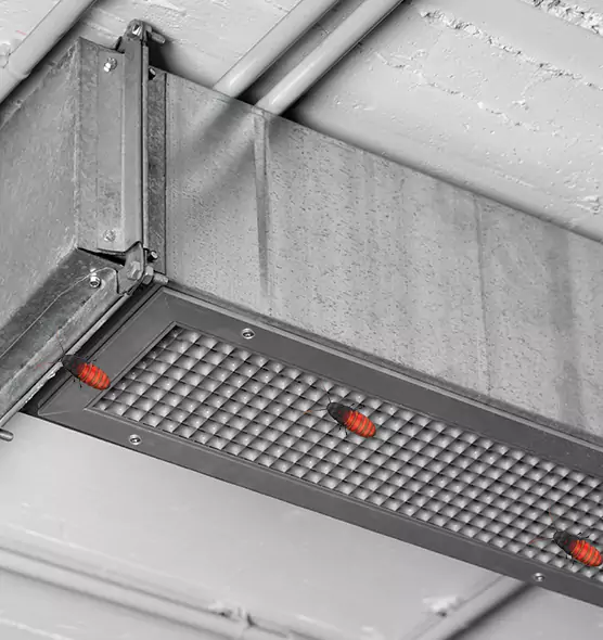 About Air Duct Cockroach Removal in Scottsbluff, NE
