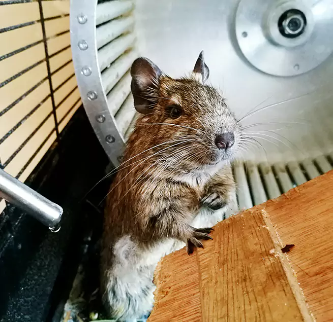 Why Homeowners & Businesses Trust Us Scottsbluff, NE